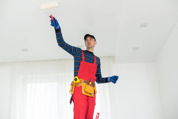 Best Attic Mold Removal  in Creston, OH